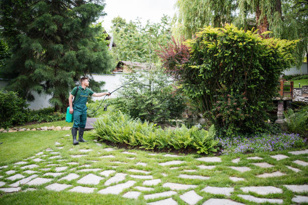 Best Affordable Pest Control Services  in Soperton, GA