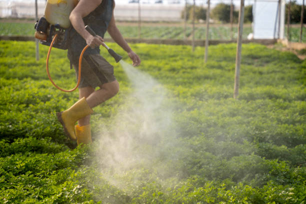 Professional Pest Control in Soperton, GA