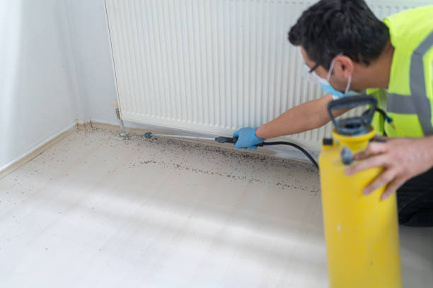 Best Exterminator Services  in Soperton, GA