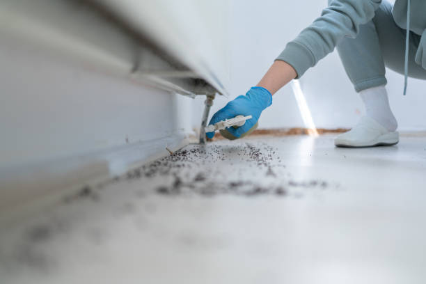 Best Flea Control Services  in Soperton, GA