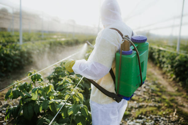 Best Wildlife Control Services  in Soperton, GA